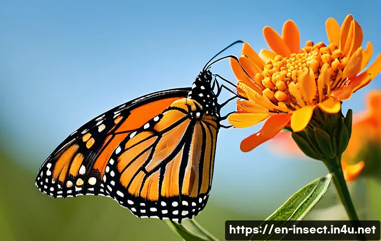 7 Mind-Blowing Facts About Insect Behavior You Never Knew 3 곤충 생태 다큐멘터리 관련 이미지 1